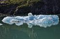 034 Tracy Arm